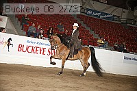 buckeye_08_2773 proof