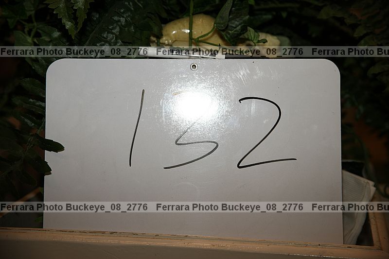 Proof buckeye_08_2776