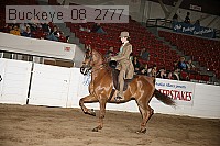buckeye_08_2777 proof