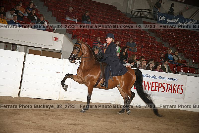 Proof buckeye_08_2783