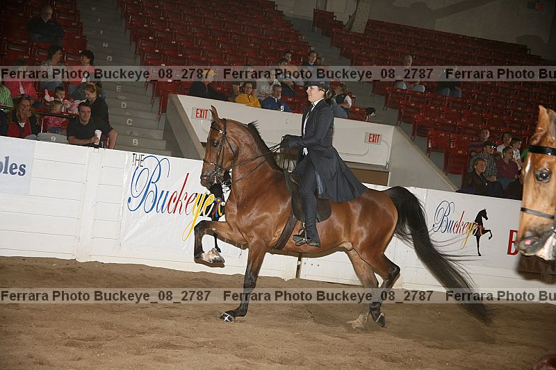 Proof buckeye_08_2787