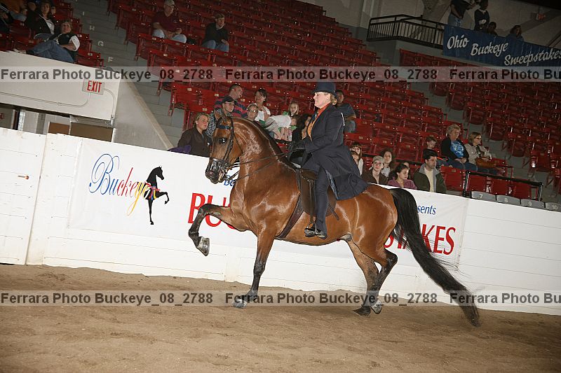 Proof buckeye_08_2788