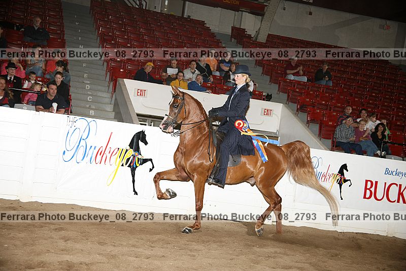 Proof buckeye_08_2793