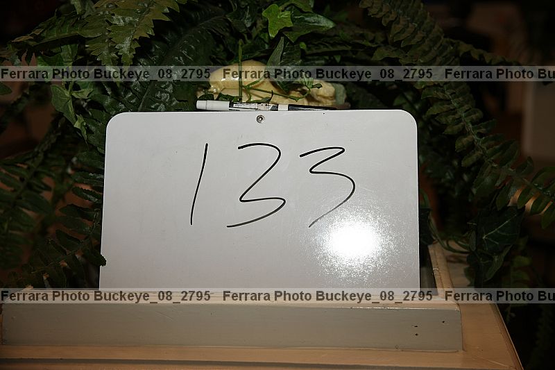 Proof buckeye_08_2795