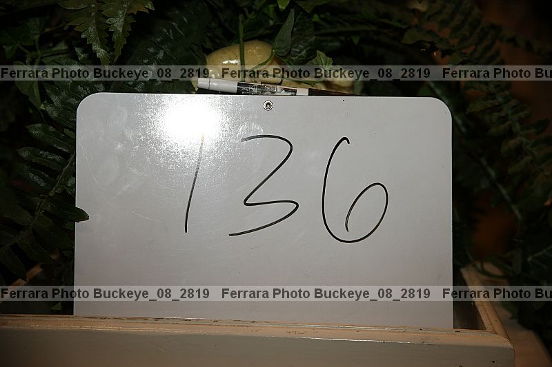 Proof buckeye_08_2819