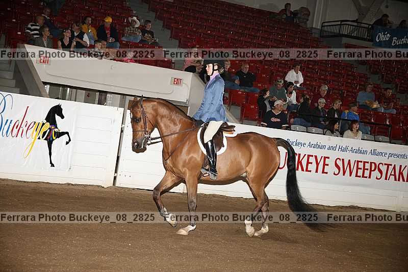 Proof buckeye_08_2825