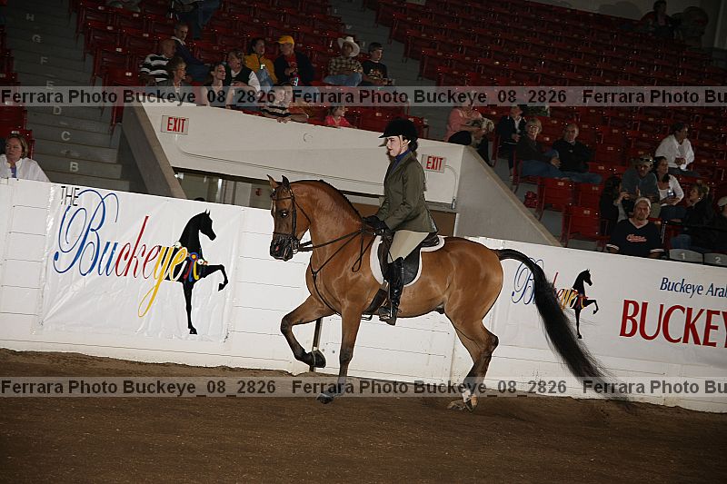Proof buckeye_08_2826