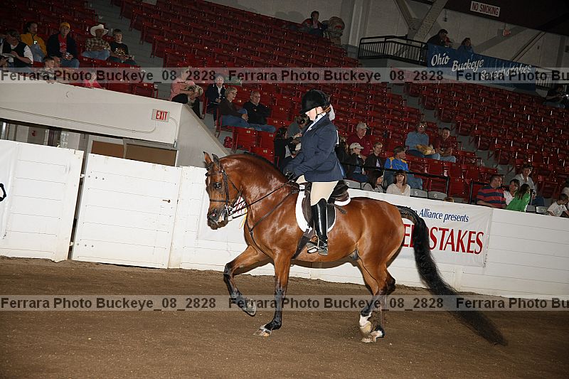 Proof buckeye_08_2828