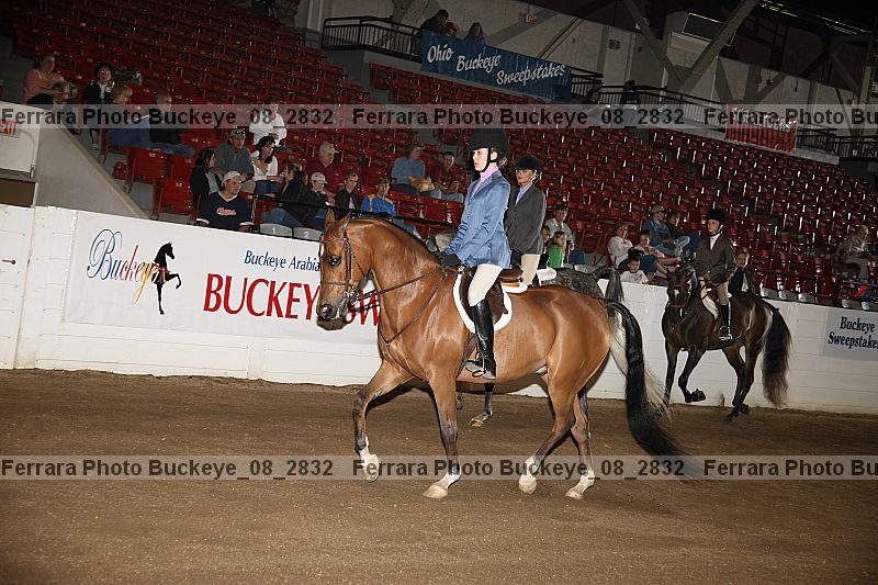 Proof buckeye_08_2832