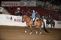 buckeye_08_2832 proof