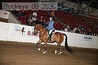 buckeye_08_2836 proof