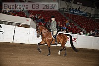 buckeye_08_2837 proof
