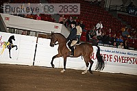 buckeye_08_2838 proof