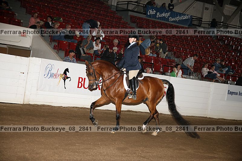 Proof buckeye_08_2841