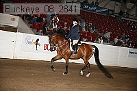 buckeye_08_2841 proof
