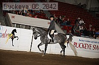 buckeye_08_2842 proof