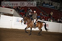buckeye_08_2843 proof