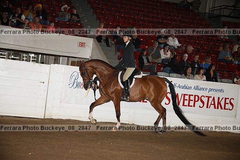 Proof buckeye_08_2847