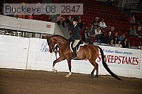 buckeye_08_2847 proof