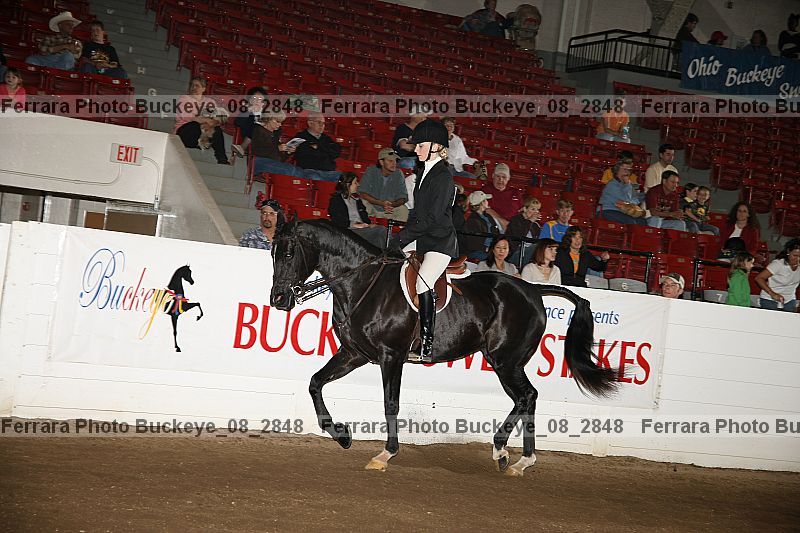 Proof buckeye_08_2848