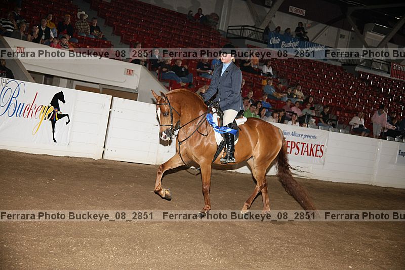 Proof buckeye_08_2851