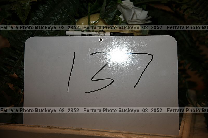Proof buckeye_08_2852