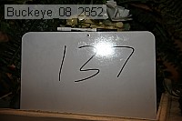 buckeye_08_2852 proof