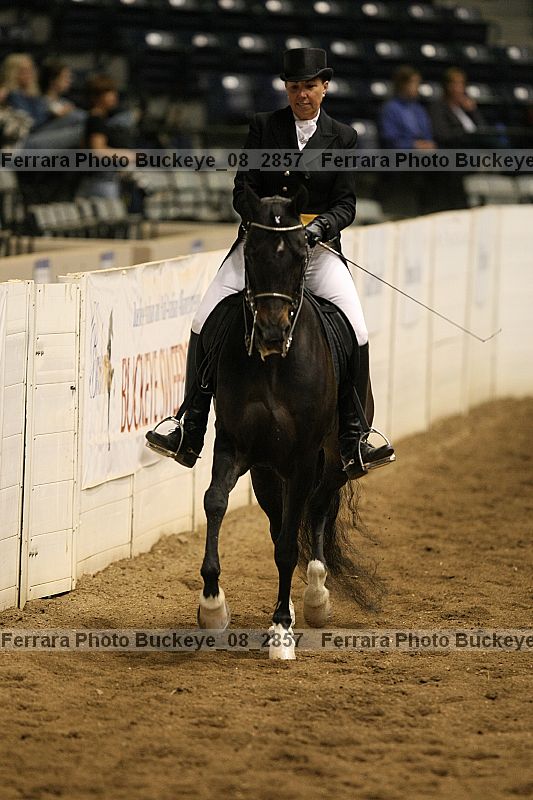 Proof buckeye_08_2857