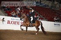 buckeye_08_2858 proof