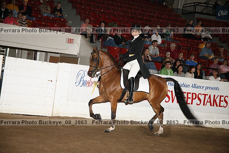 Proof buckeye_08_2863