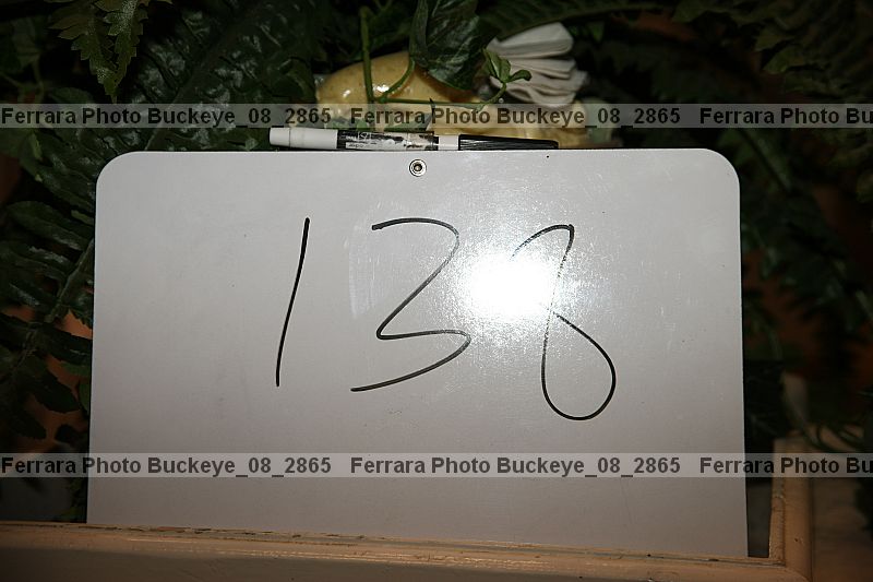 Proof buckeye_08_2865