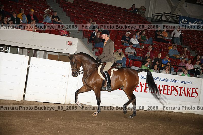 Proof buckeye_08_2866