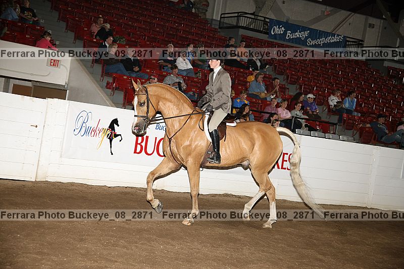 Proof buckeye_08_2871