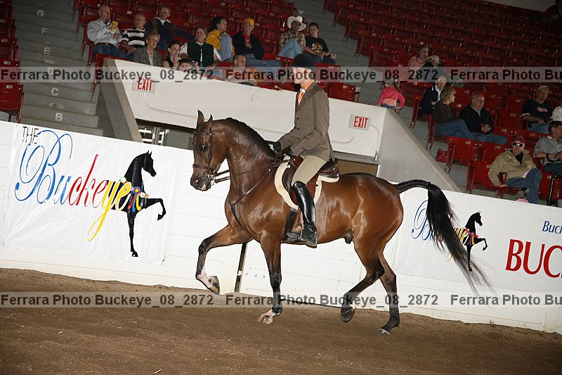 Proof buckeye_08_2872
