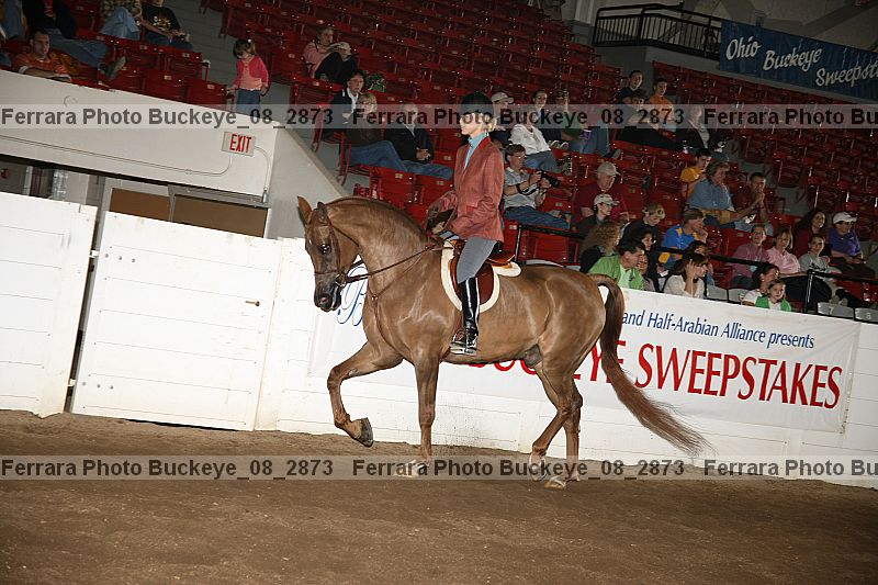 Proof buckeye_08_2873