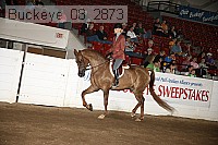 buckeye_08_2873 proof