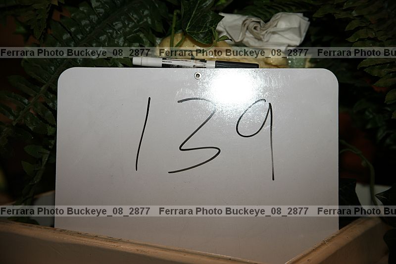 Proof buckeye_08_2877