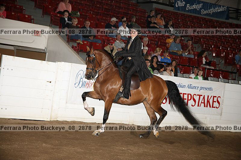 Proof buckeye_08_2878