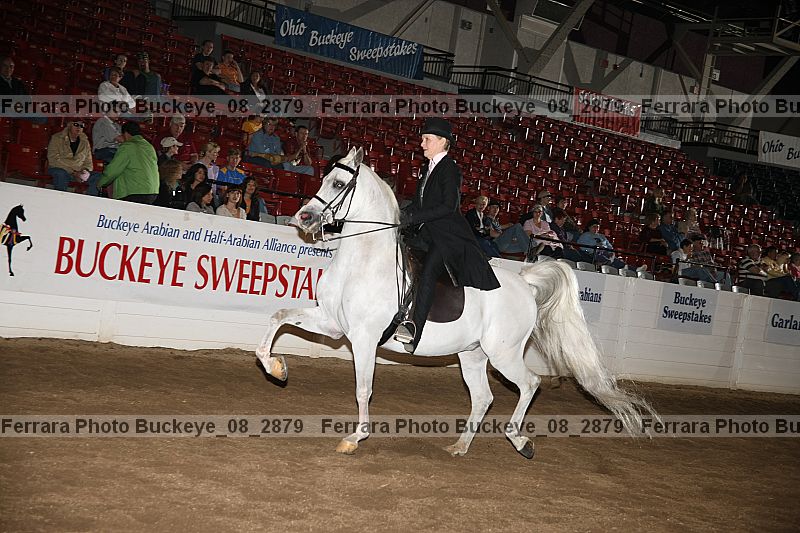 Proof buckeye_08_2879