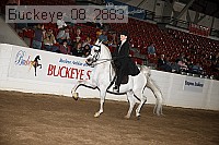 buckeye_08_2883 proof