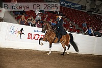 buckeye_08_2885 proof