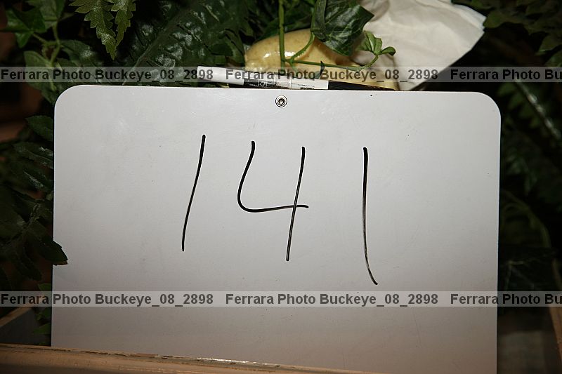 Proof buckeye_08_2898
