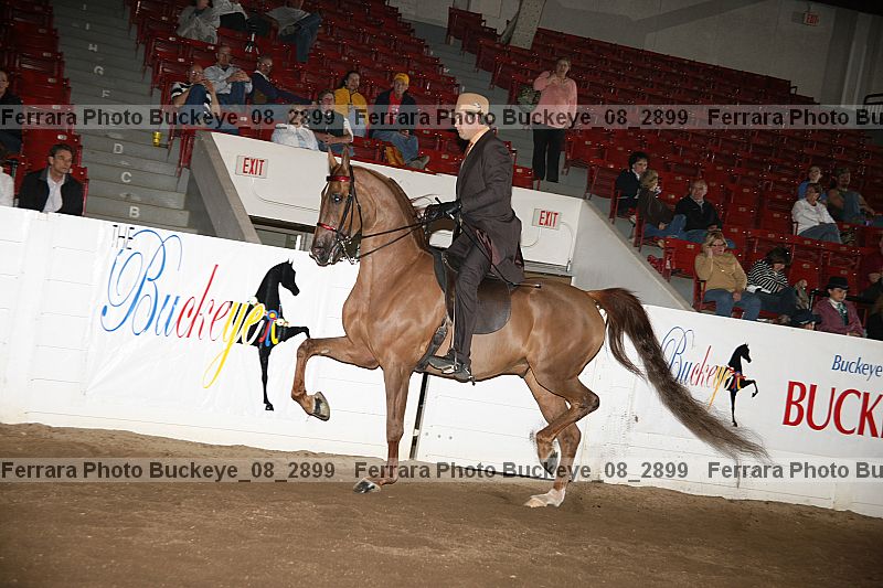 Proof buckeye_08_2899
