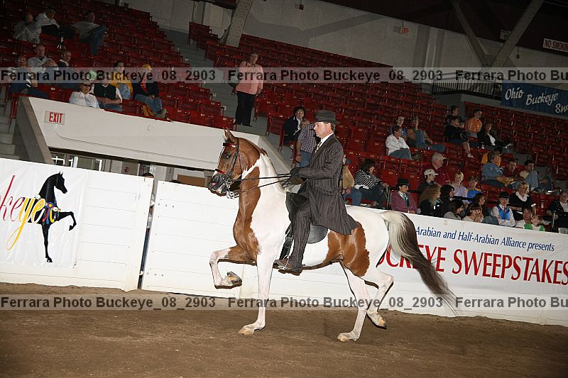 Proof buckeye_08_2903