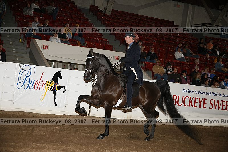 Proof buckeye_08_2907