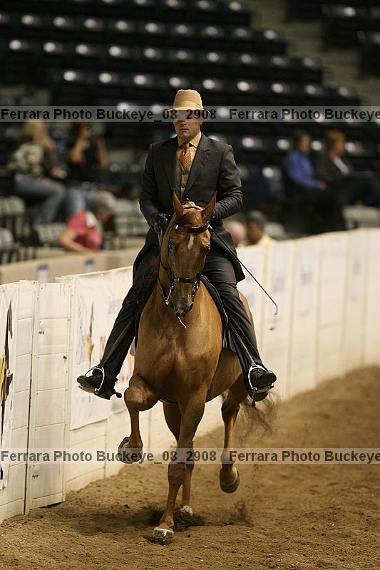 Proof buckeye_08_2908