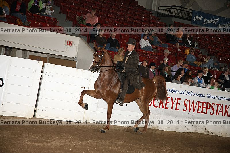 Proof buckeye_08_2914