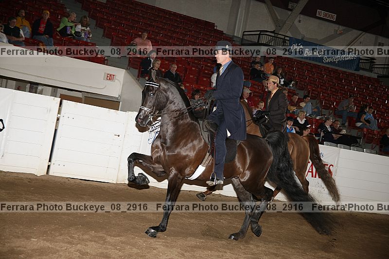 Proof buckeye_08_2916