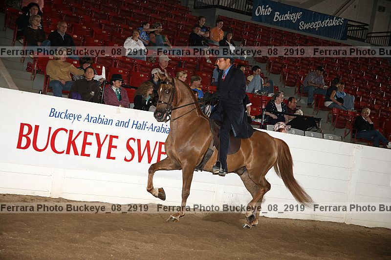 Proof buckeye_08_2919