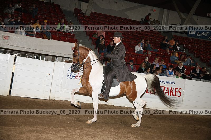 Proof buckeye_08_2920